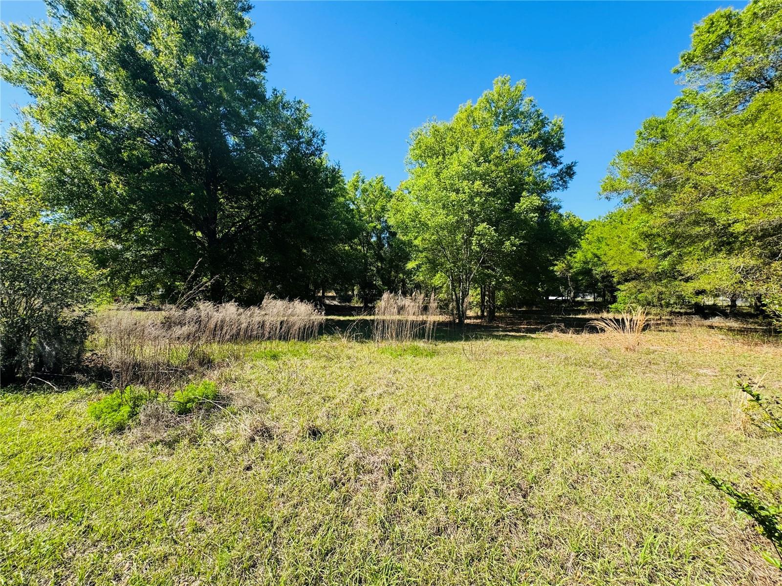 Image 6 of 16 For 11340 Bessie Dix Road