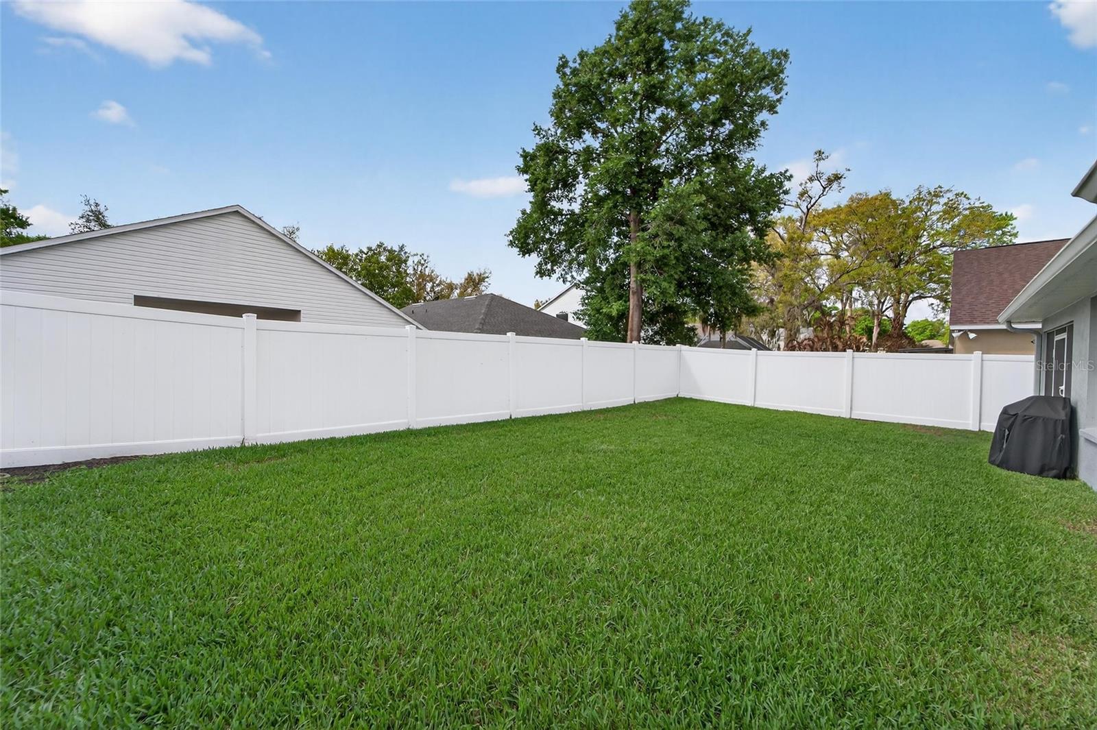 Image 60 of 90 For 1407 Bloomingdale Trails Boulevard