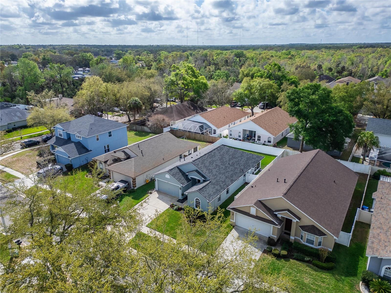 Image 67 of 90 For 1407 Bloomingdale Trails Boulevard