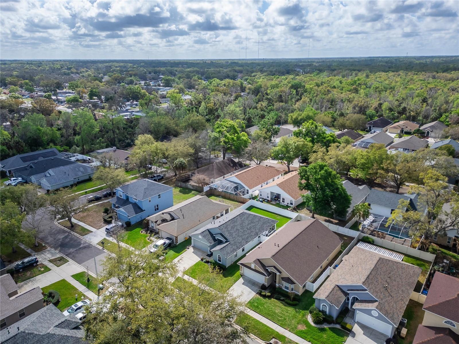 Image 68 of 90 For 1407 Bloomingdale Trails Boulevard