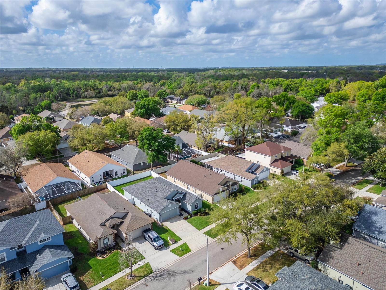 Image 72 of 90 For 1407 Bloomingdale Trails Boulevard