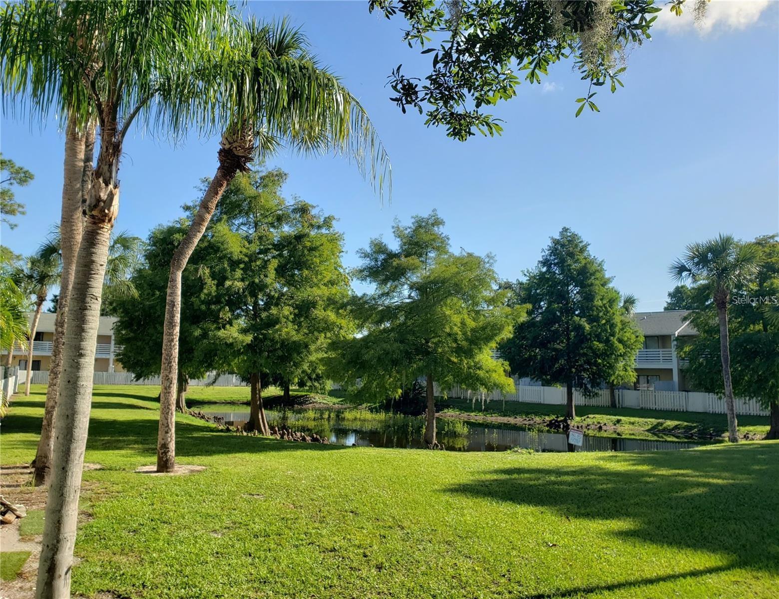 Image 25 of 32 For 22630 Gage Loop 10