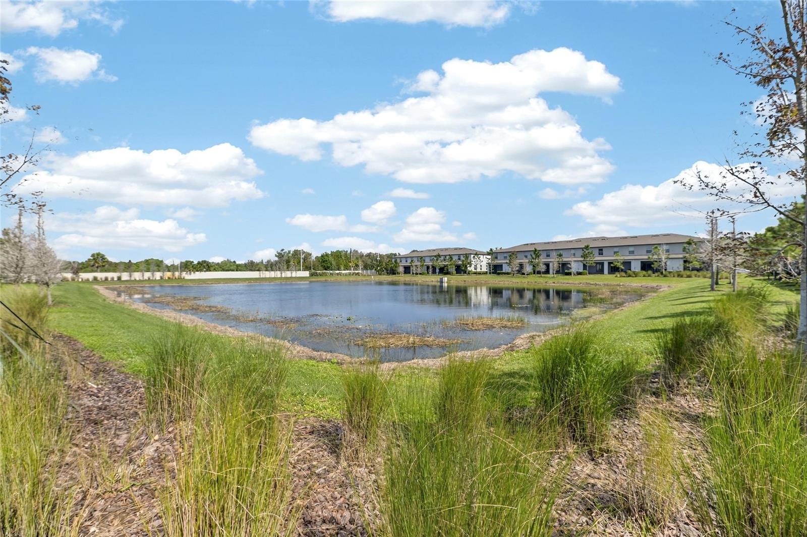 Image 26 of 54 For 11822 Dumaine Valley Road