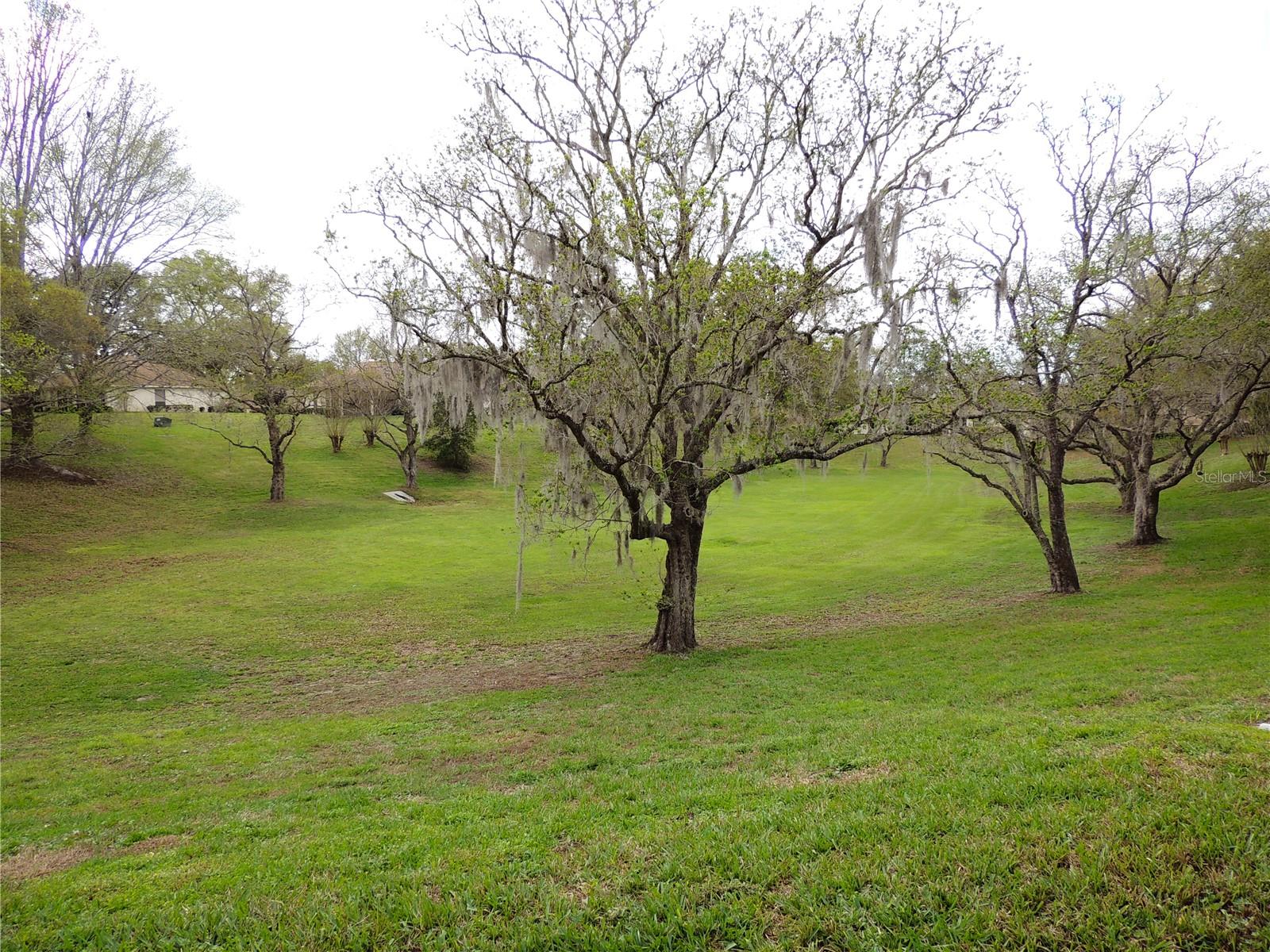 Image 34 of 40 For 1728 Envoy Drive