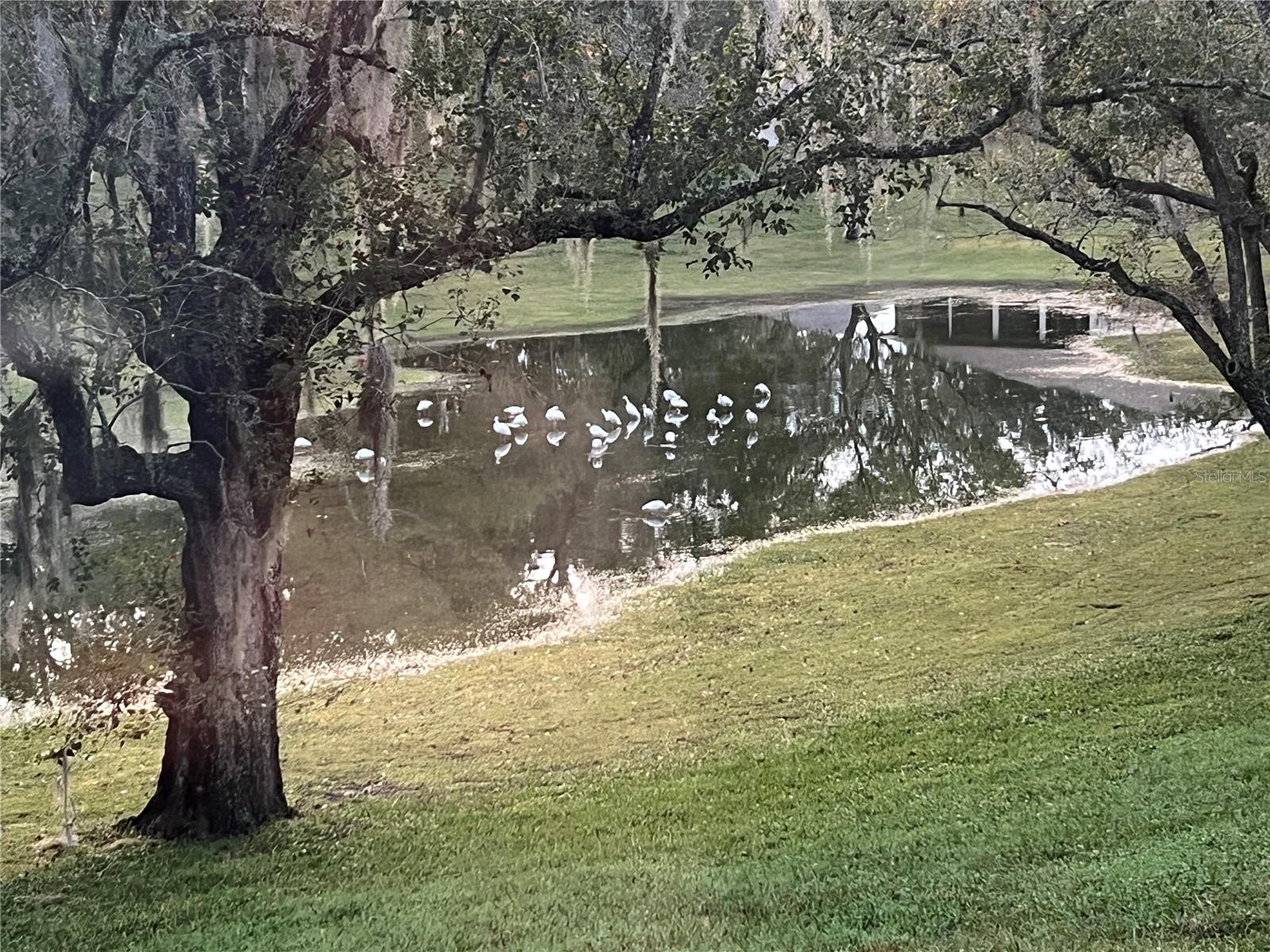 Image 36 of 40 For 1728 Envoy Drive