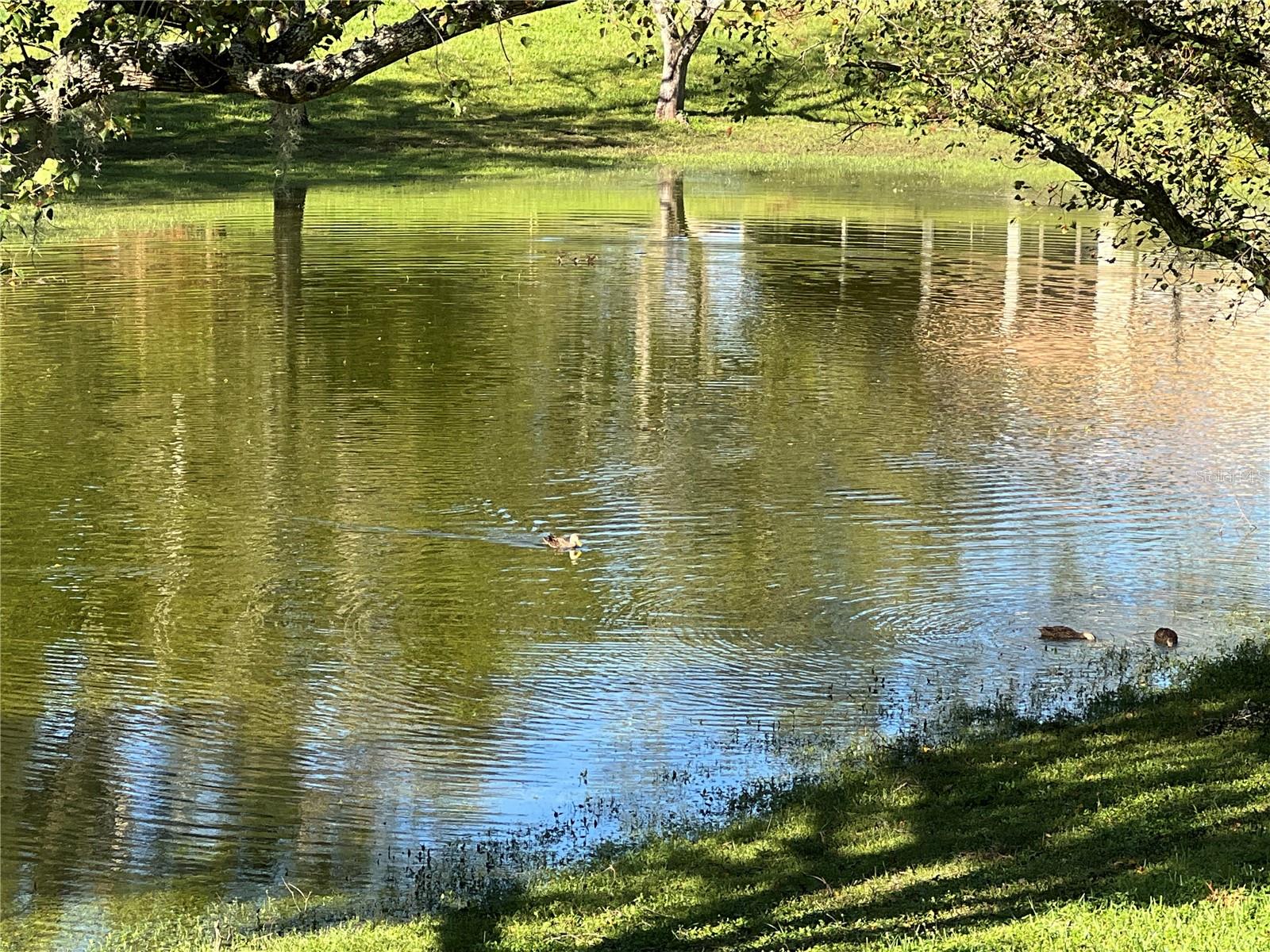 Image 37 of 40 For 1728 Envoy Drive