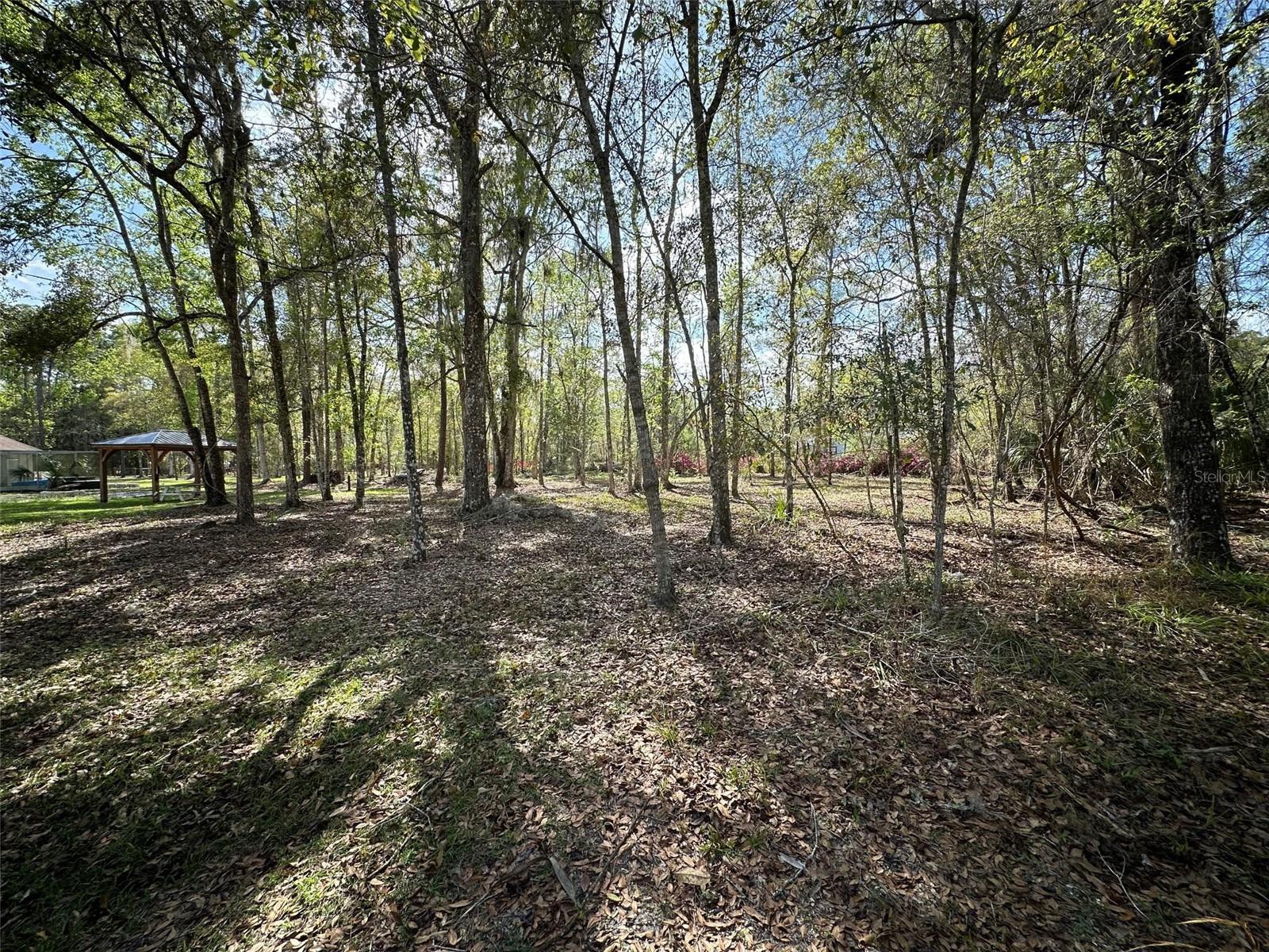 Image 59 of 69 For 20403 Gamble Drive