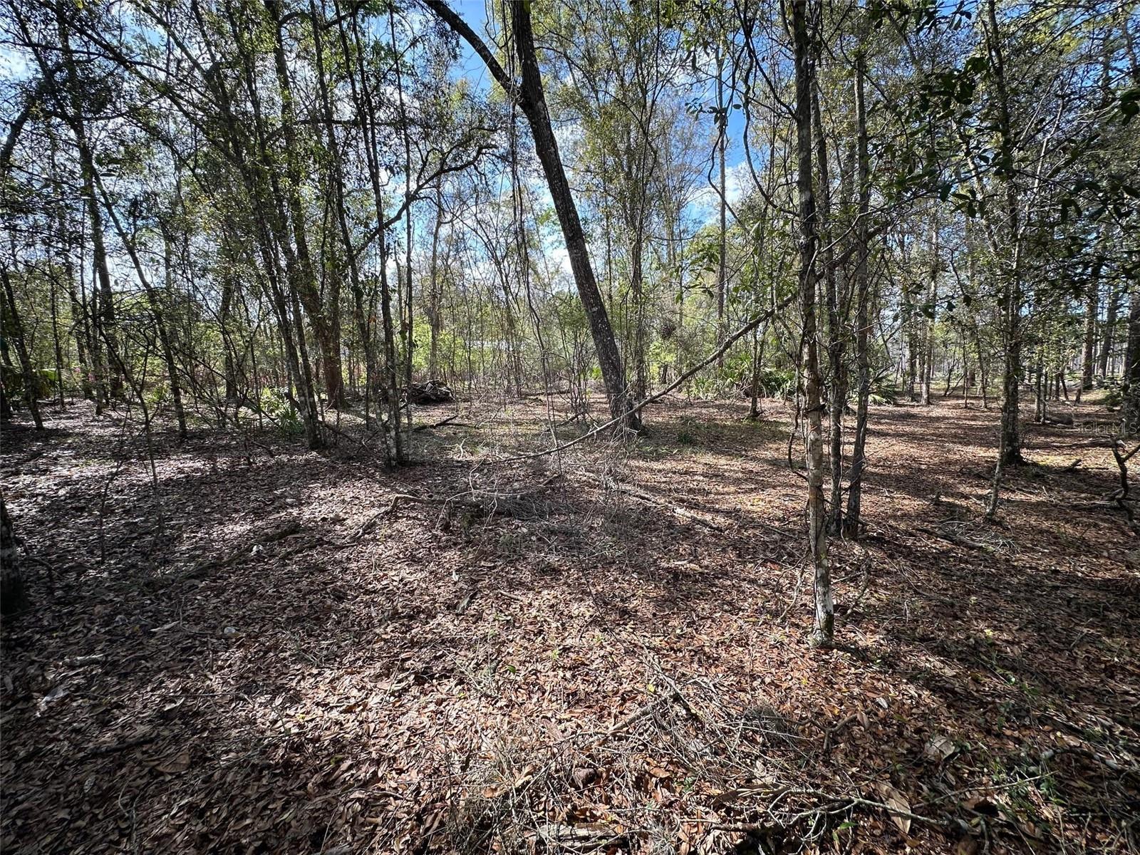 Image 62 of 69 For 20403 Gamble Drive