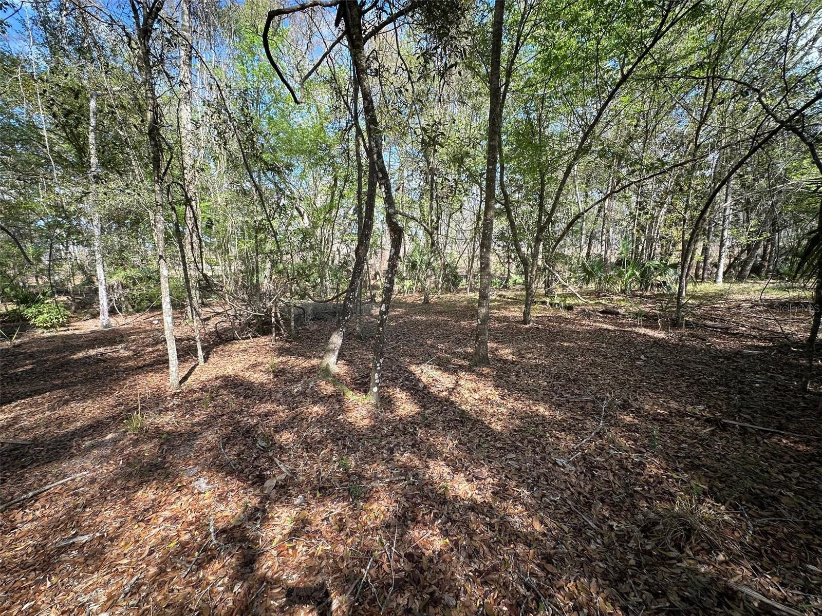 Image 64 of 69 For 20403 Gamble Drive