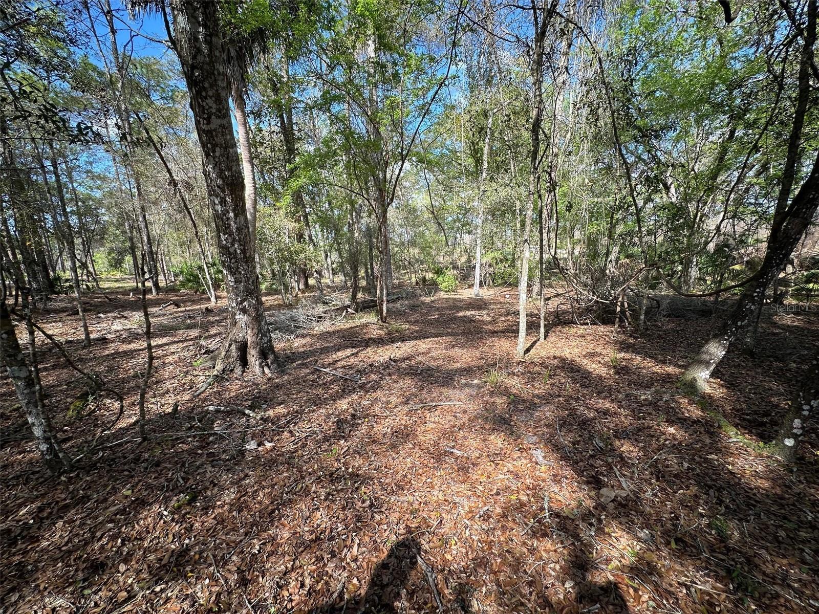 Image 65 of 69 For 20403 Gamble Drive