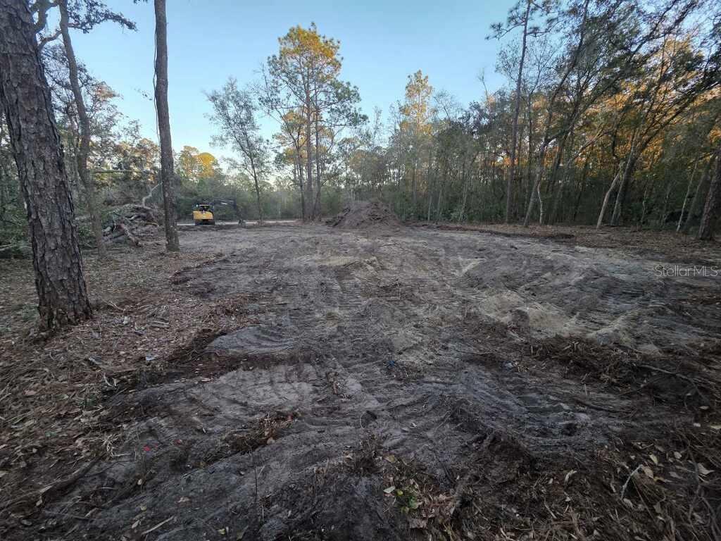 Image 3 of 3 For 129 Seminole Avenue