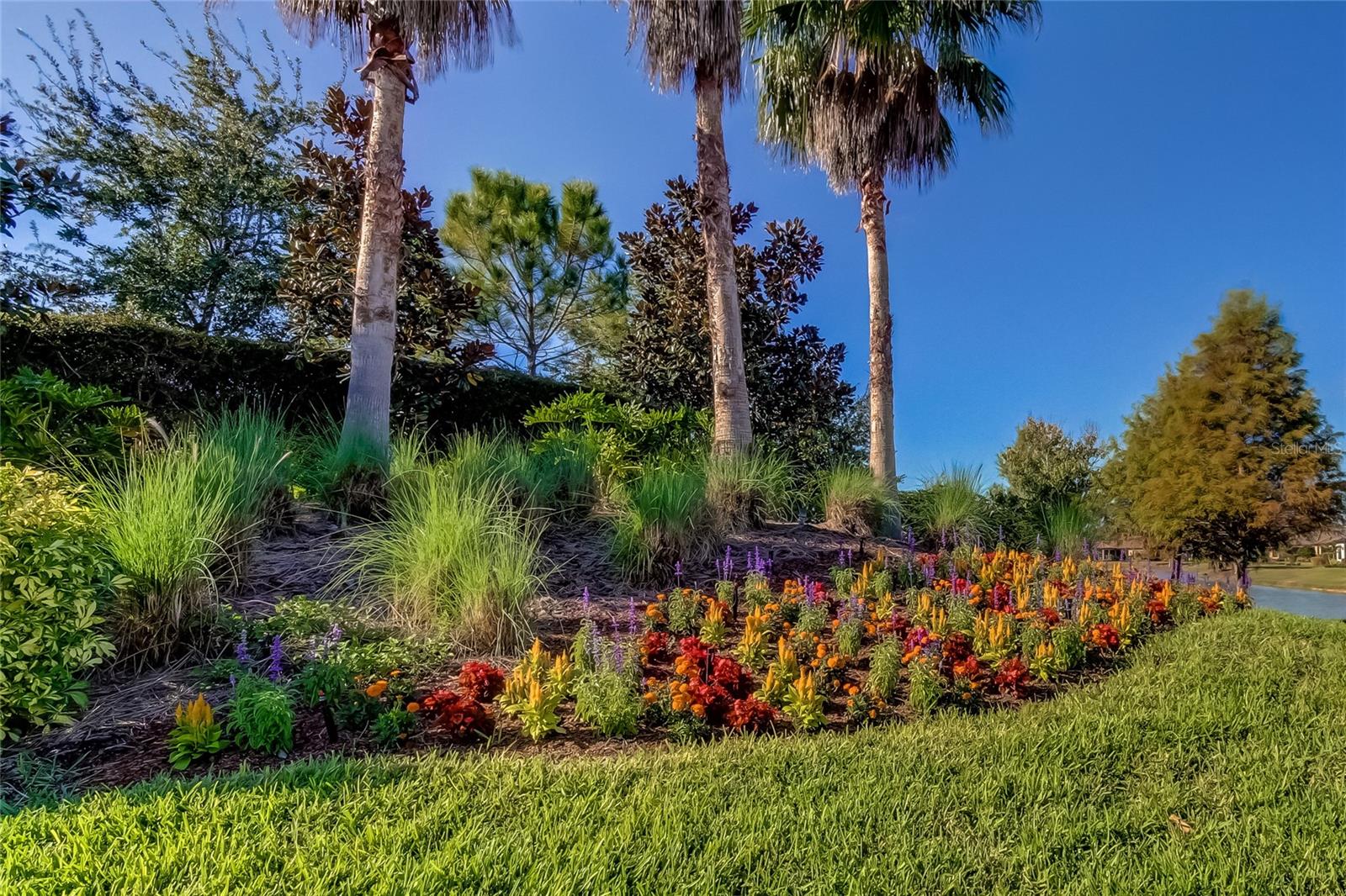 Image 55 of 61 For 11257 Egeria Drive