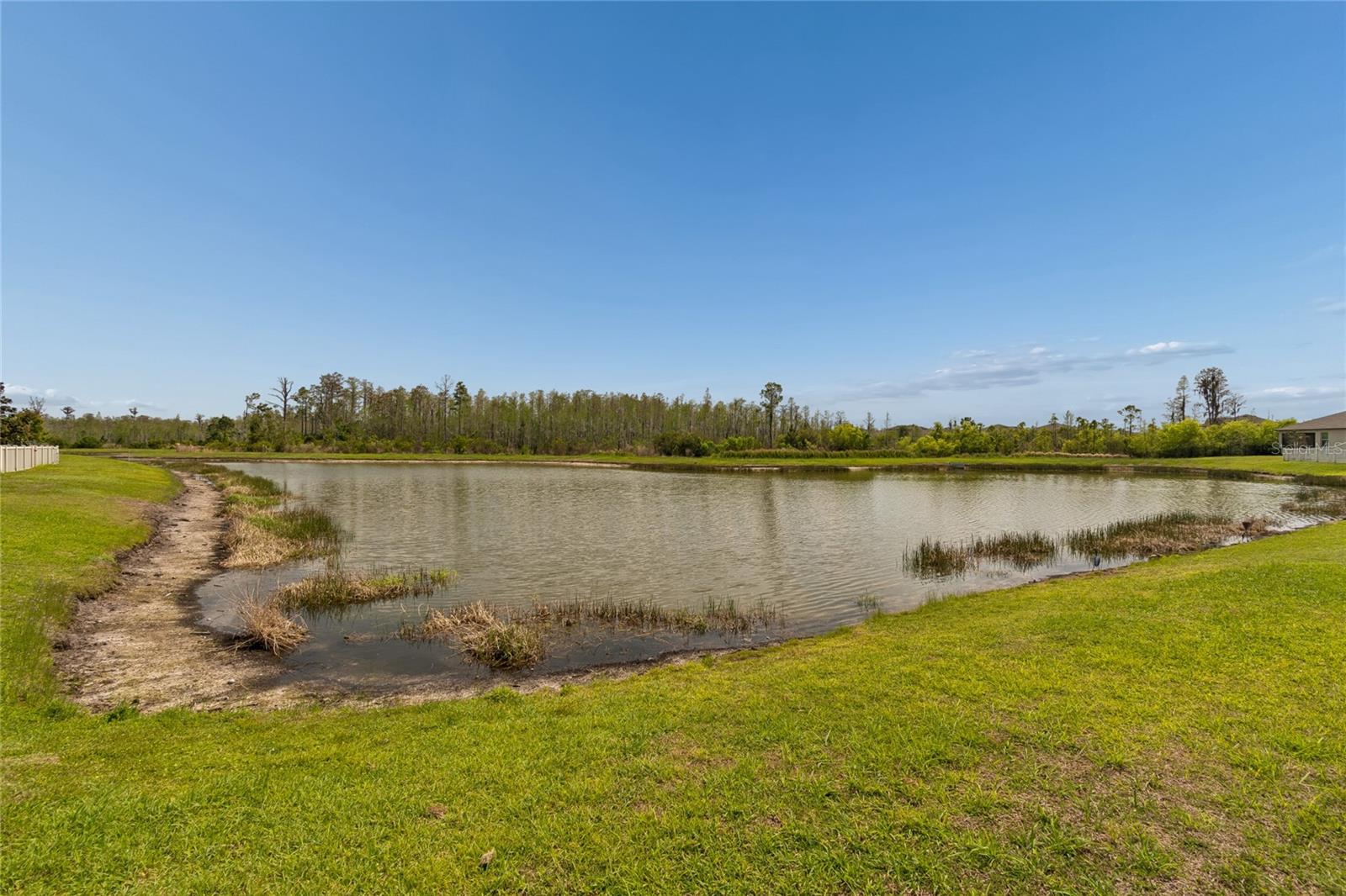 Image 36 of 52 For 8960 Shadyside Lane