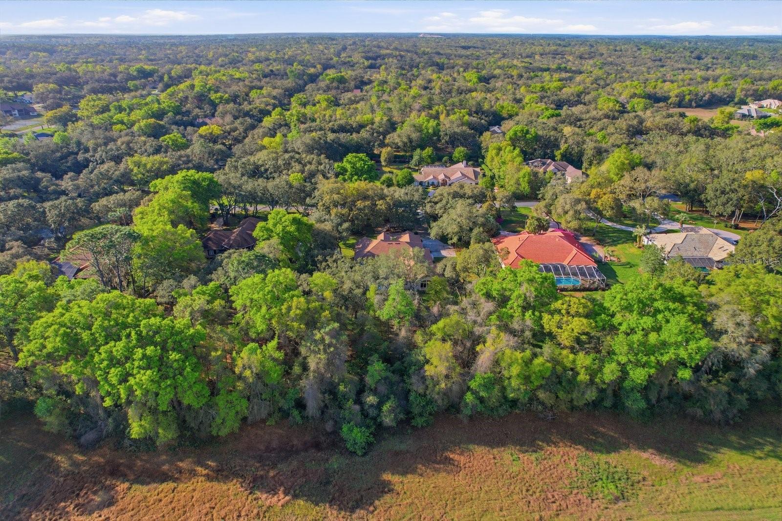 Image 46 of 48 For 103 Albany Lane