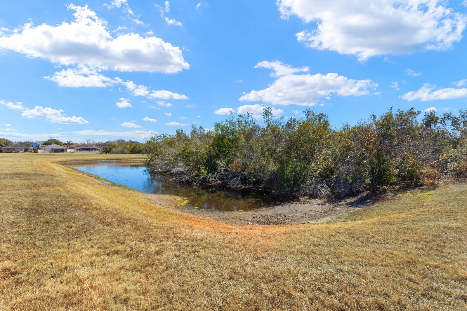 Image 43 of 56 For 12311 Silton Peace Drive