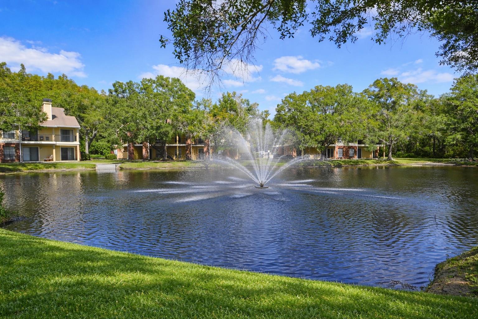 Image 46 of 93 For 8629 Fancy Finch Drive 101