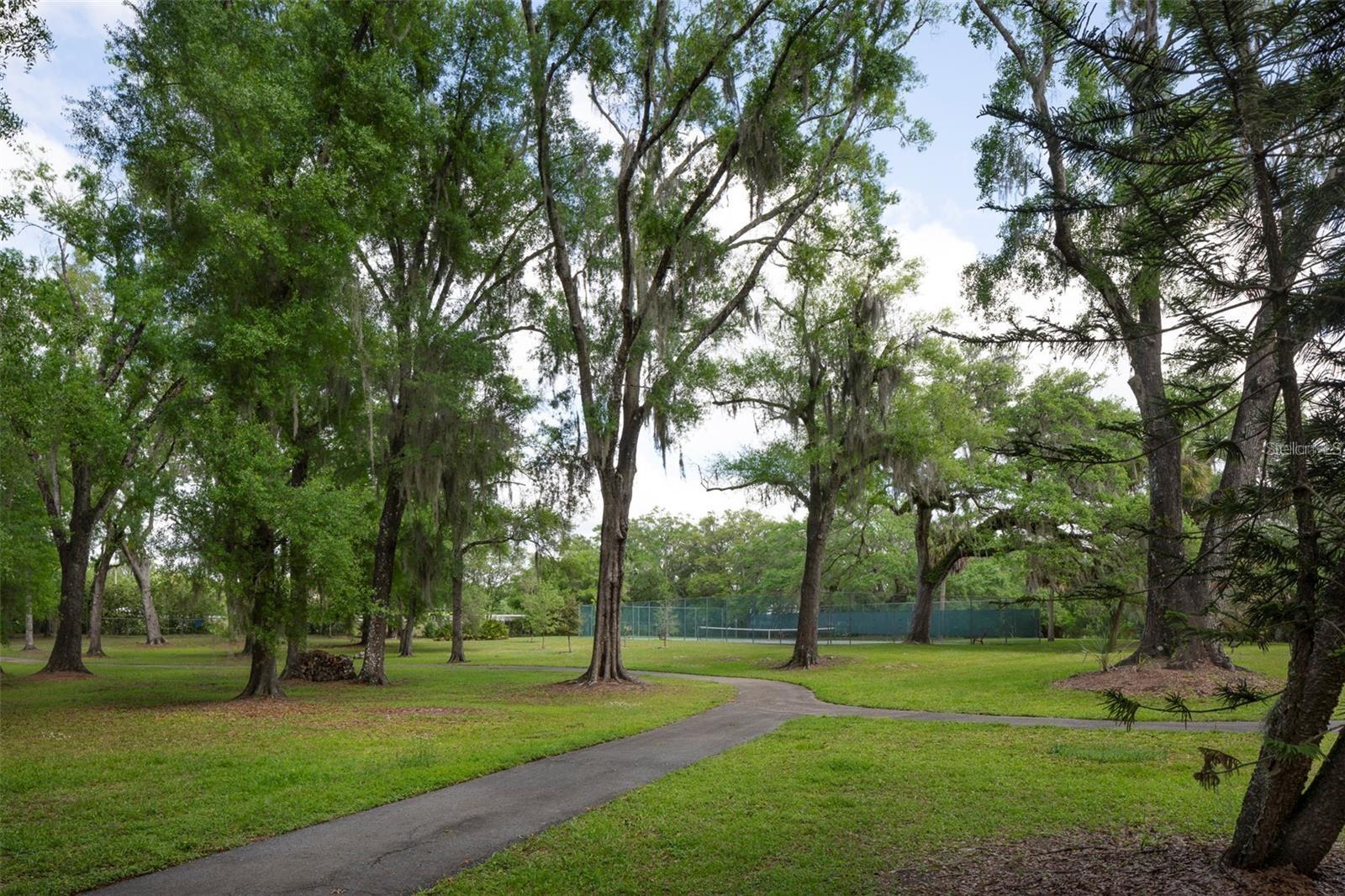 Listing photo id 37 for 11504 Cerca Del Rio Place