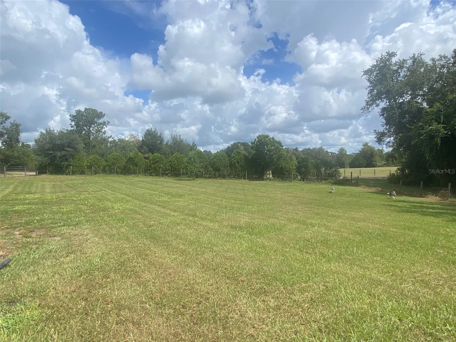 Image 3 of 23 For 8350 Derby Oaks Drive