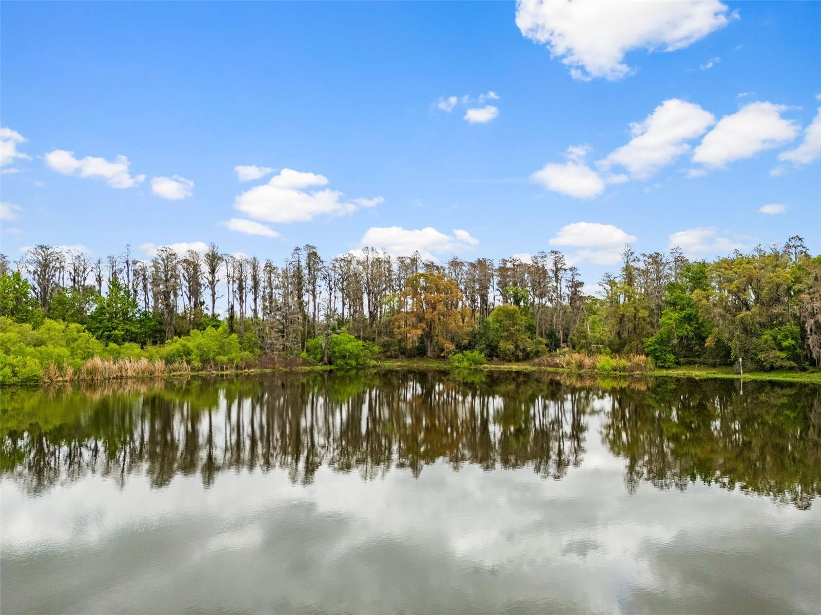 Image 13 of 26 For 18150 Burrell Road