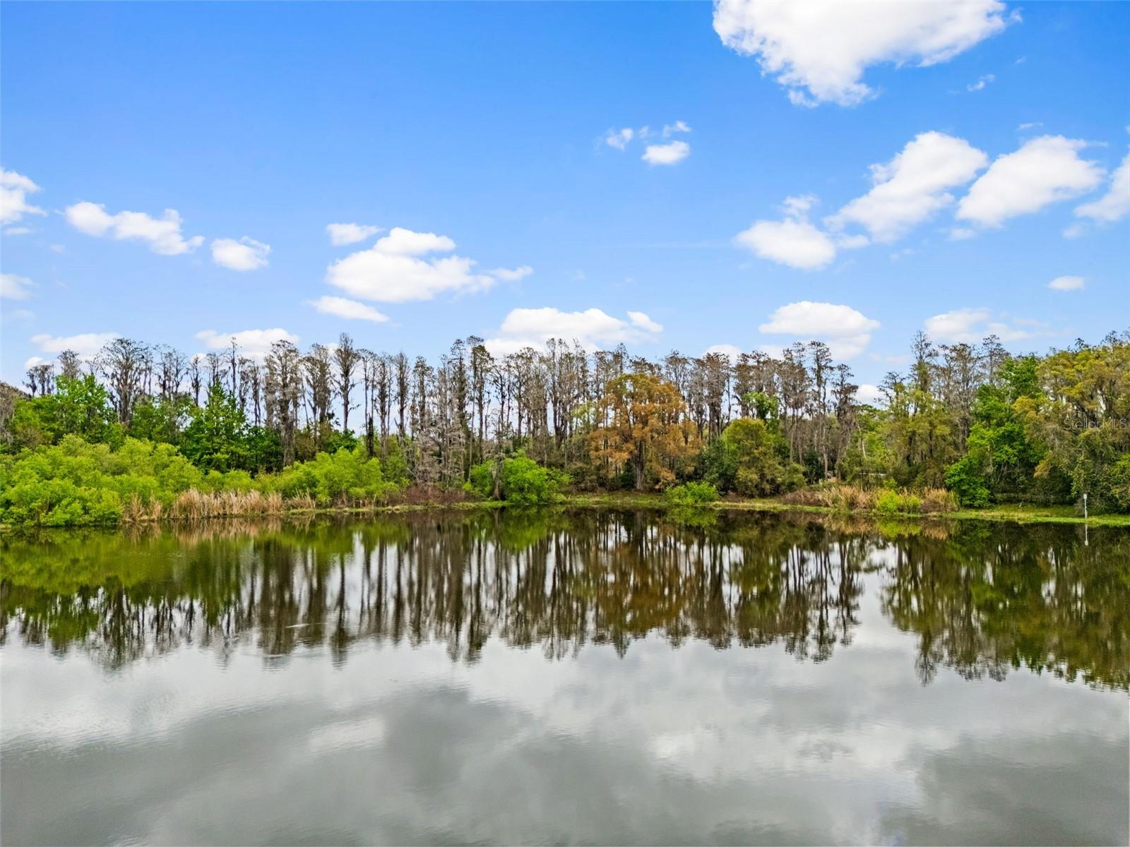 Image 21 of 26 For 18150 Burrell Road