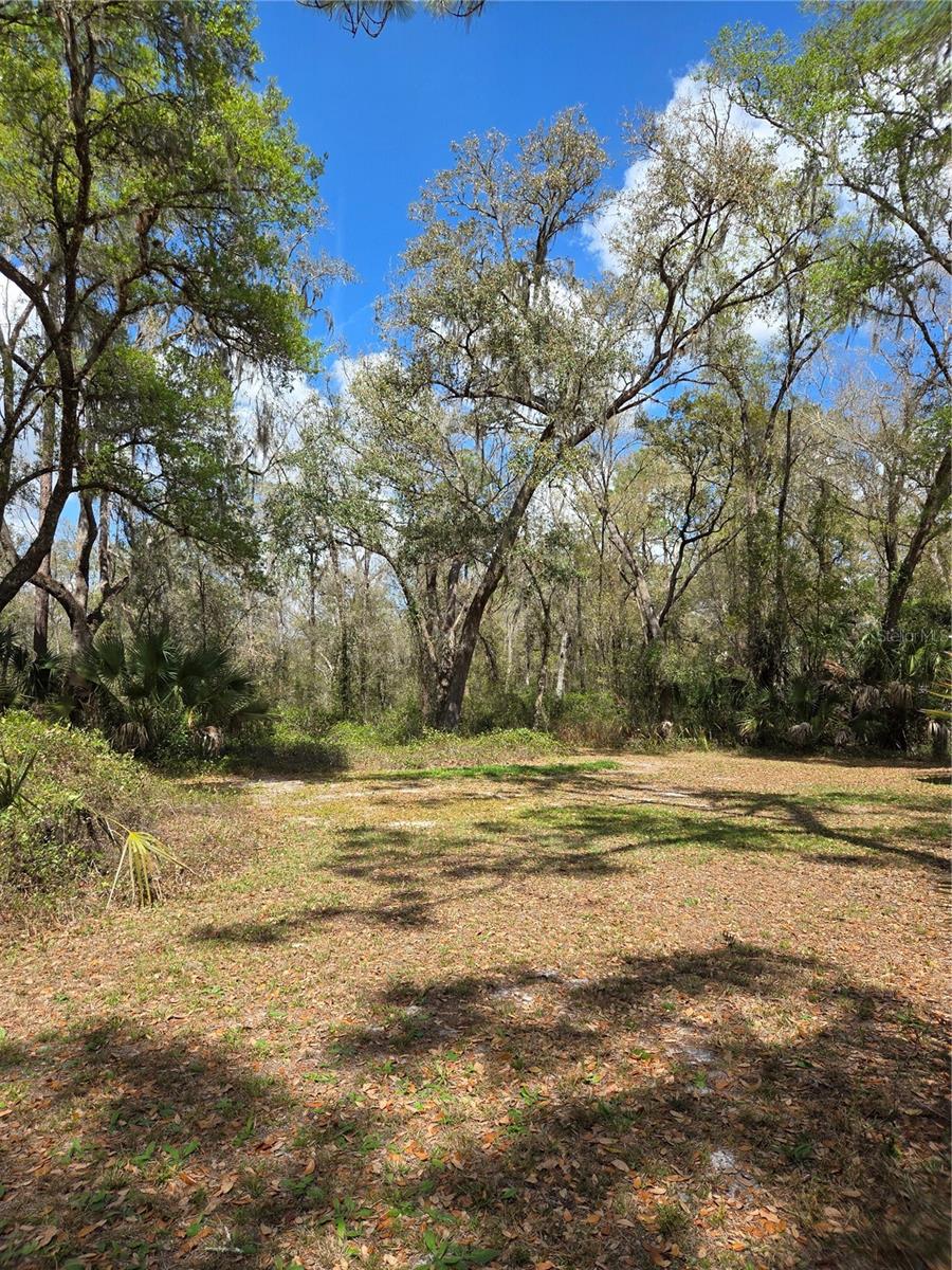 Image 11 of 14 For 12503 Avery Road