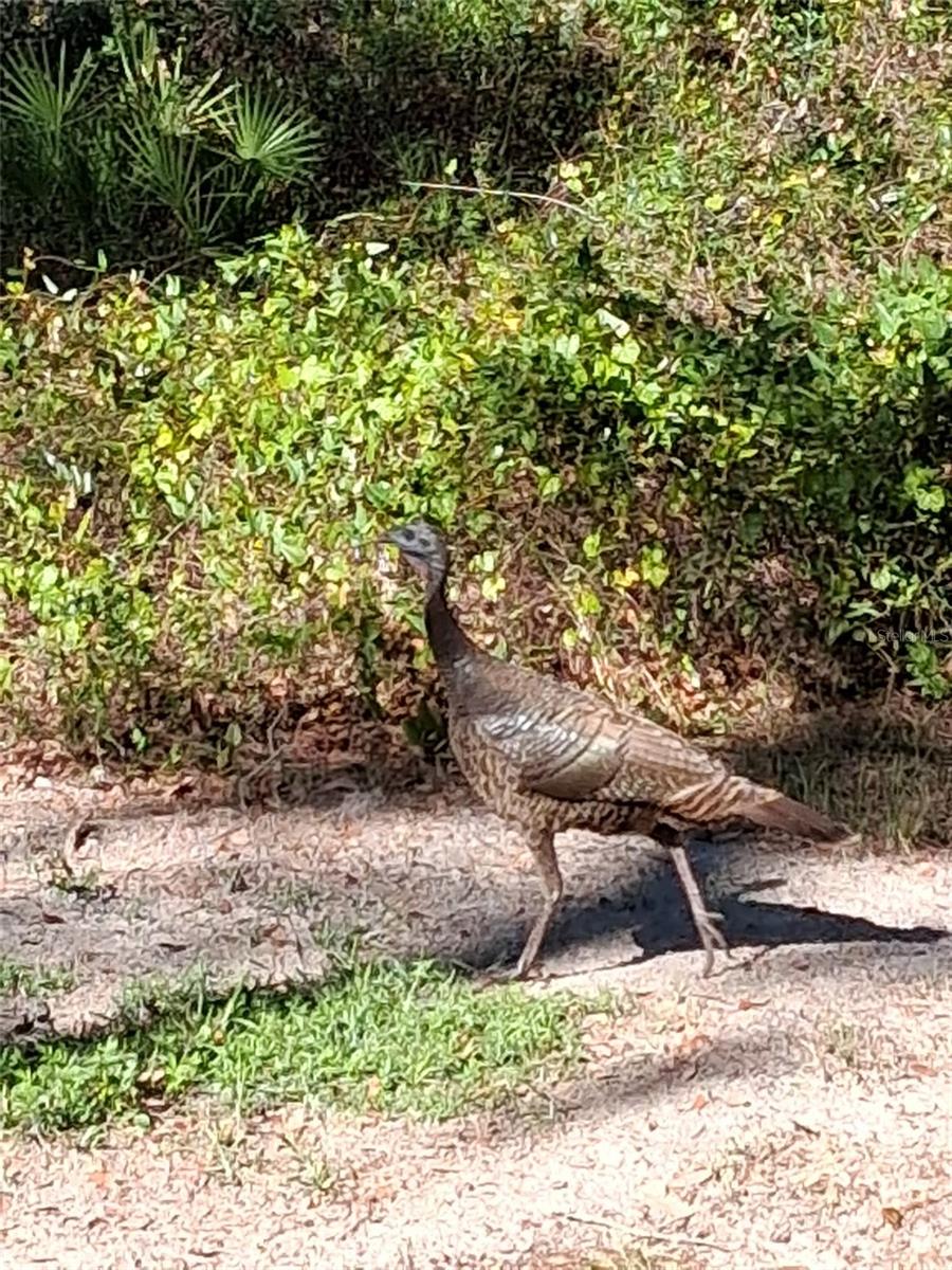 Image 12 of 14 For 12503 Avery Road