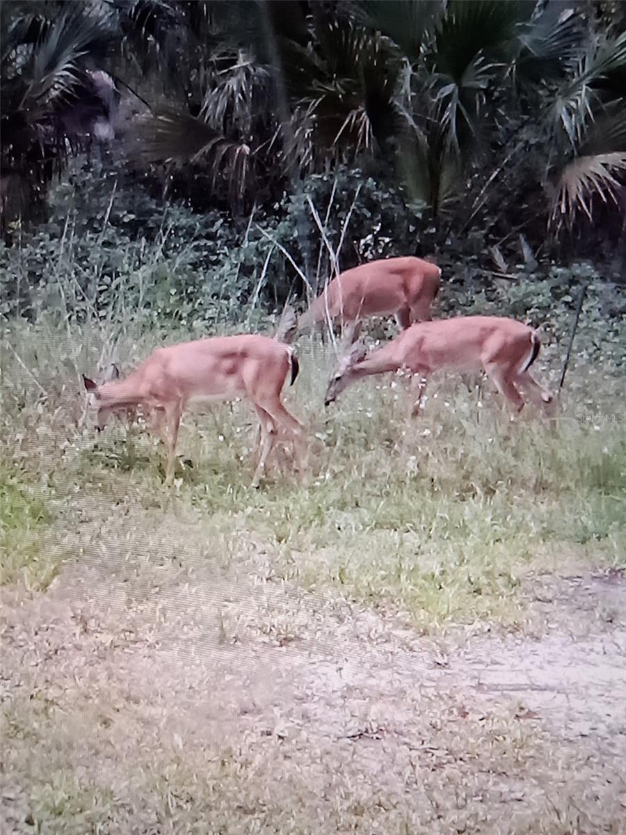 Image 13 of 14 For 12503 Avery Road