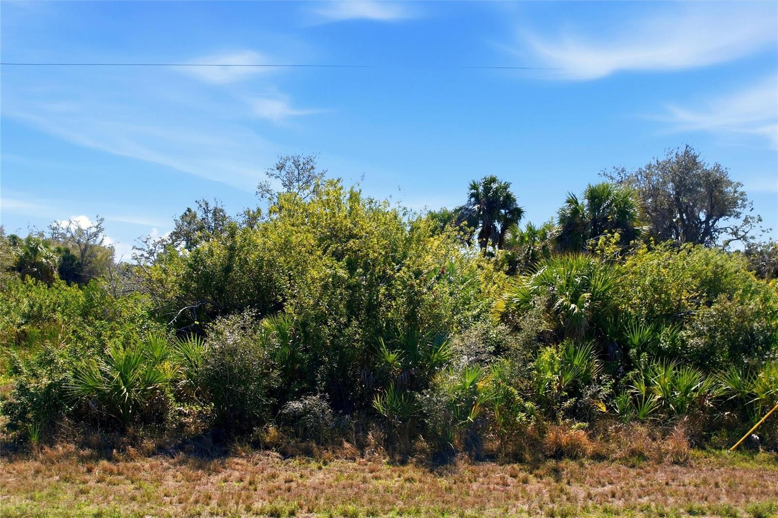 Image 9 of 9 For 594 Mcdill Drive