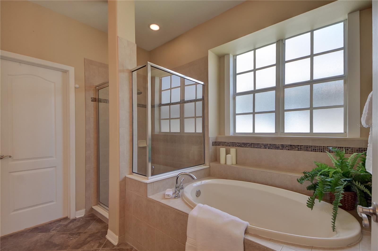 Image 35 of 60 For 16001 Loneoak View Drive