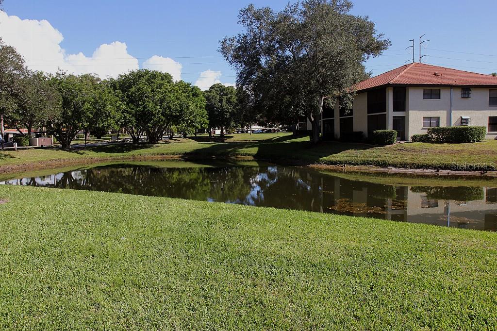 Image 34 of 49 For 704 Hammock Pine Boulevard 704