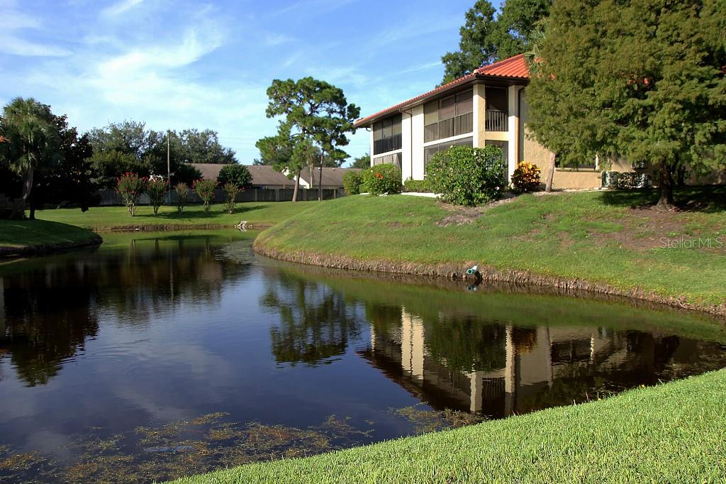 Image 36 of 49 For 704 Hammock Pine Boulevard 704