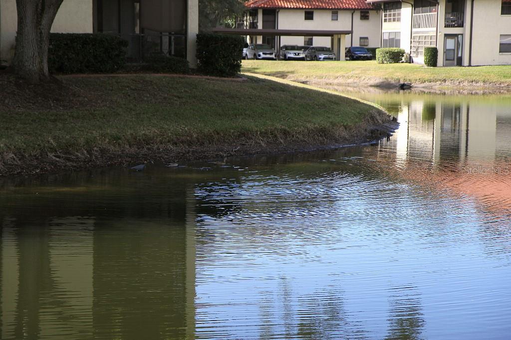 Image 37 of 49 For 704 Hammock Pine Boulevard 704