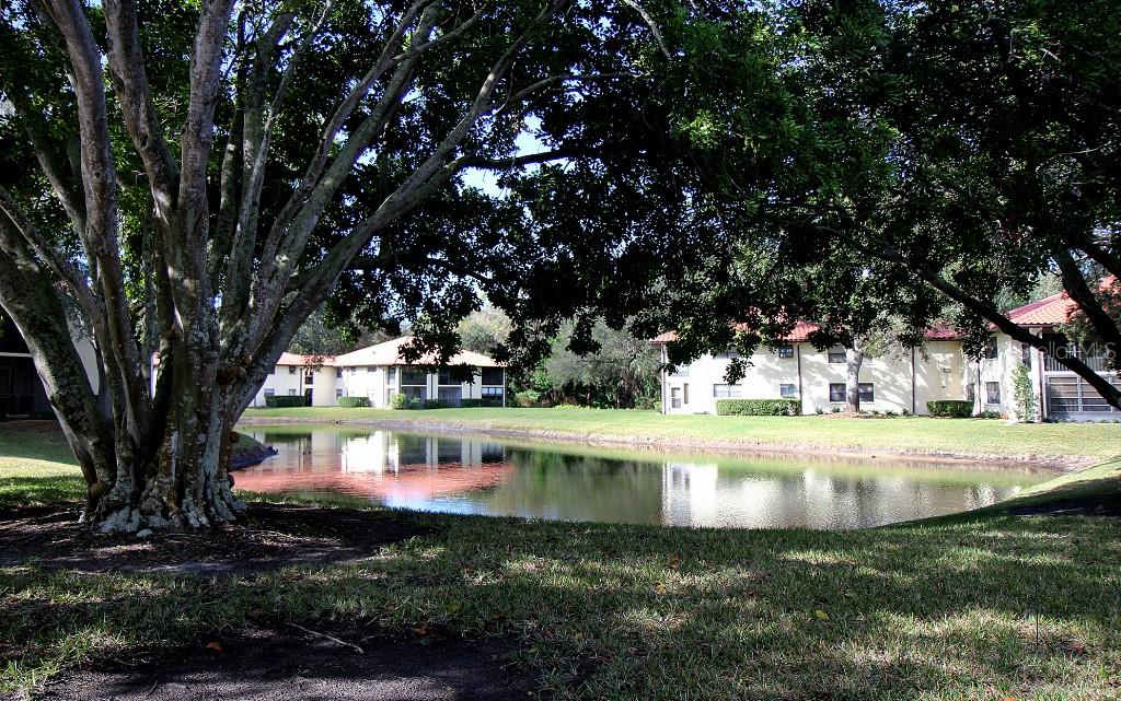 Image 39 of 49 For 704 Hammock Pine Boulevard 704