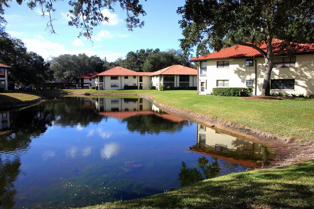 Image 42 of 49 For 704 Hammock Pine Boulevard 704