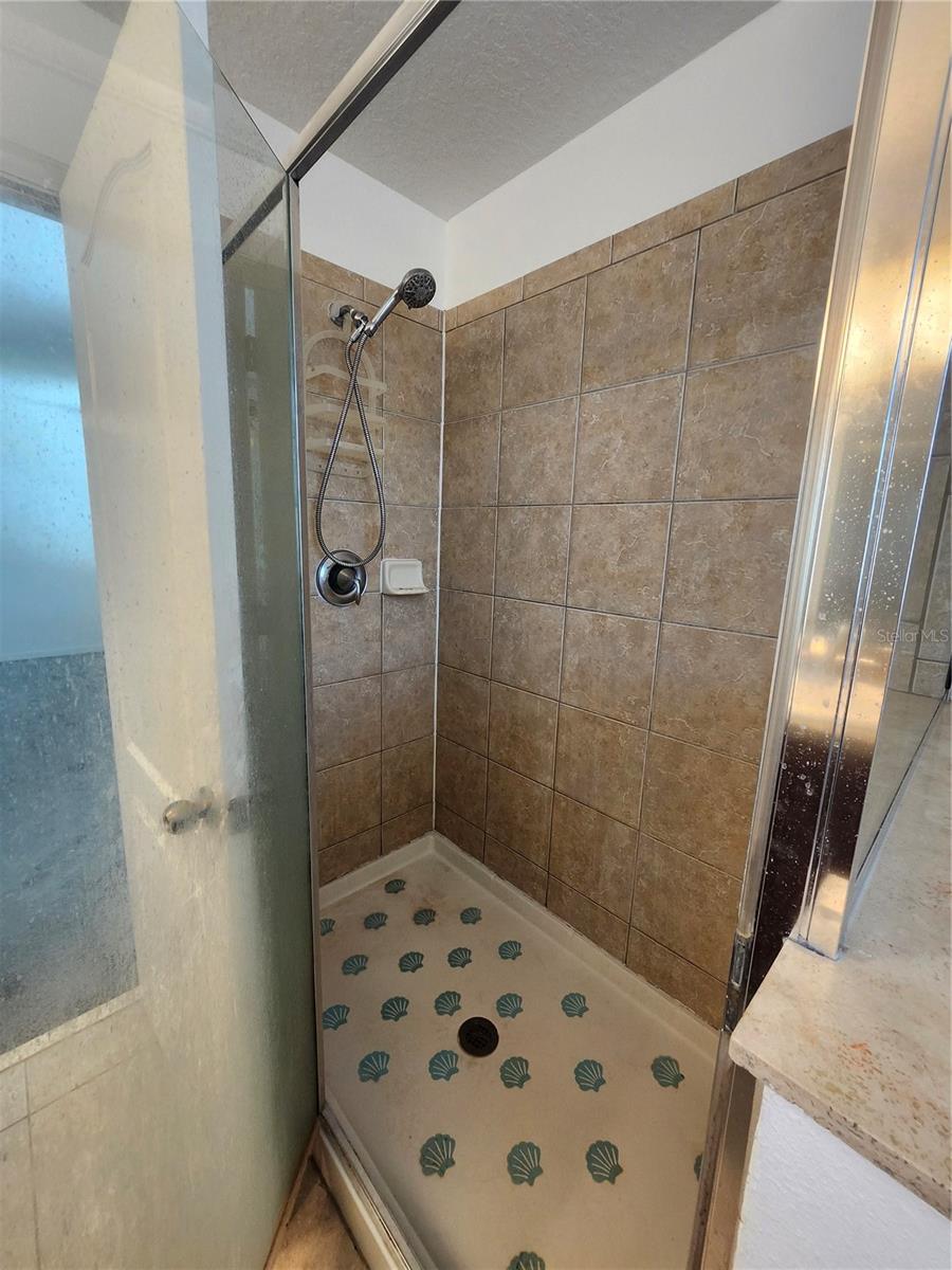 Image 24 of 31 For 949 Seminole Sky Drive