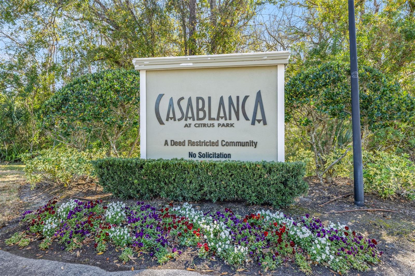 Image 36 of 36 For 11016 Blaine Top Place