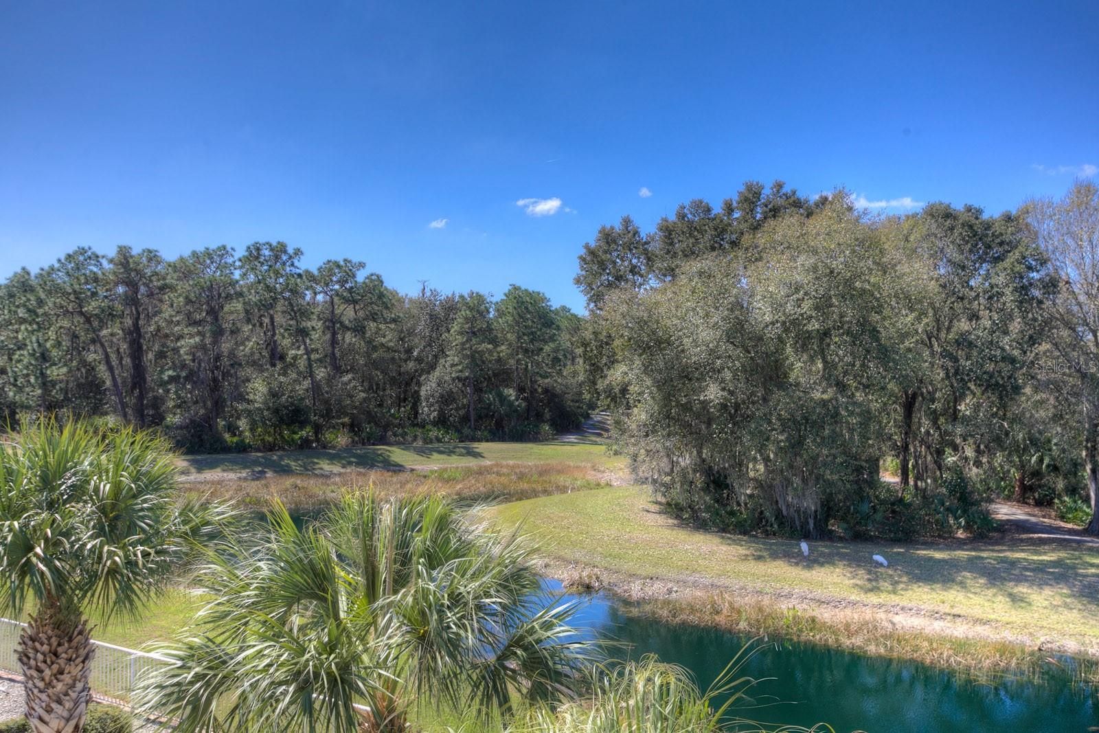 Image 64 of 67 For 8263 Swann Hollow Drive