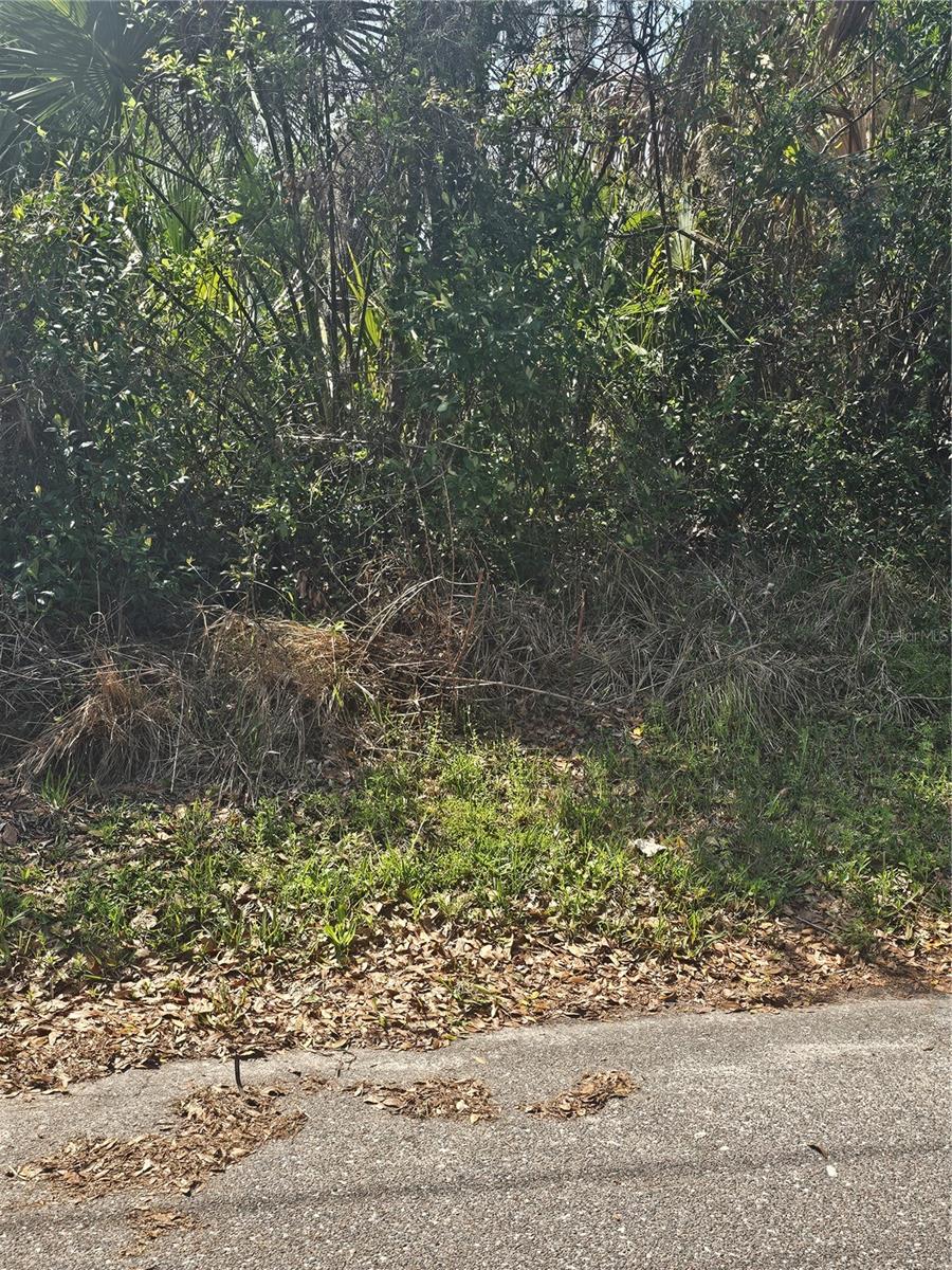 Details for Tbd Unassigned, LAKE CITY, FL 32024