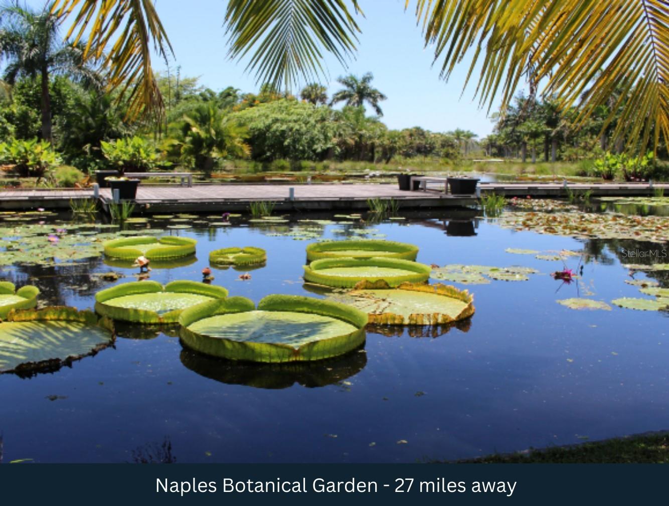 Image 17 of 25 For 20th Avenue Se