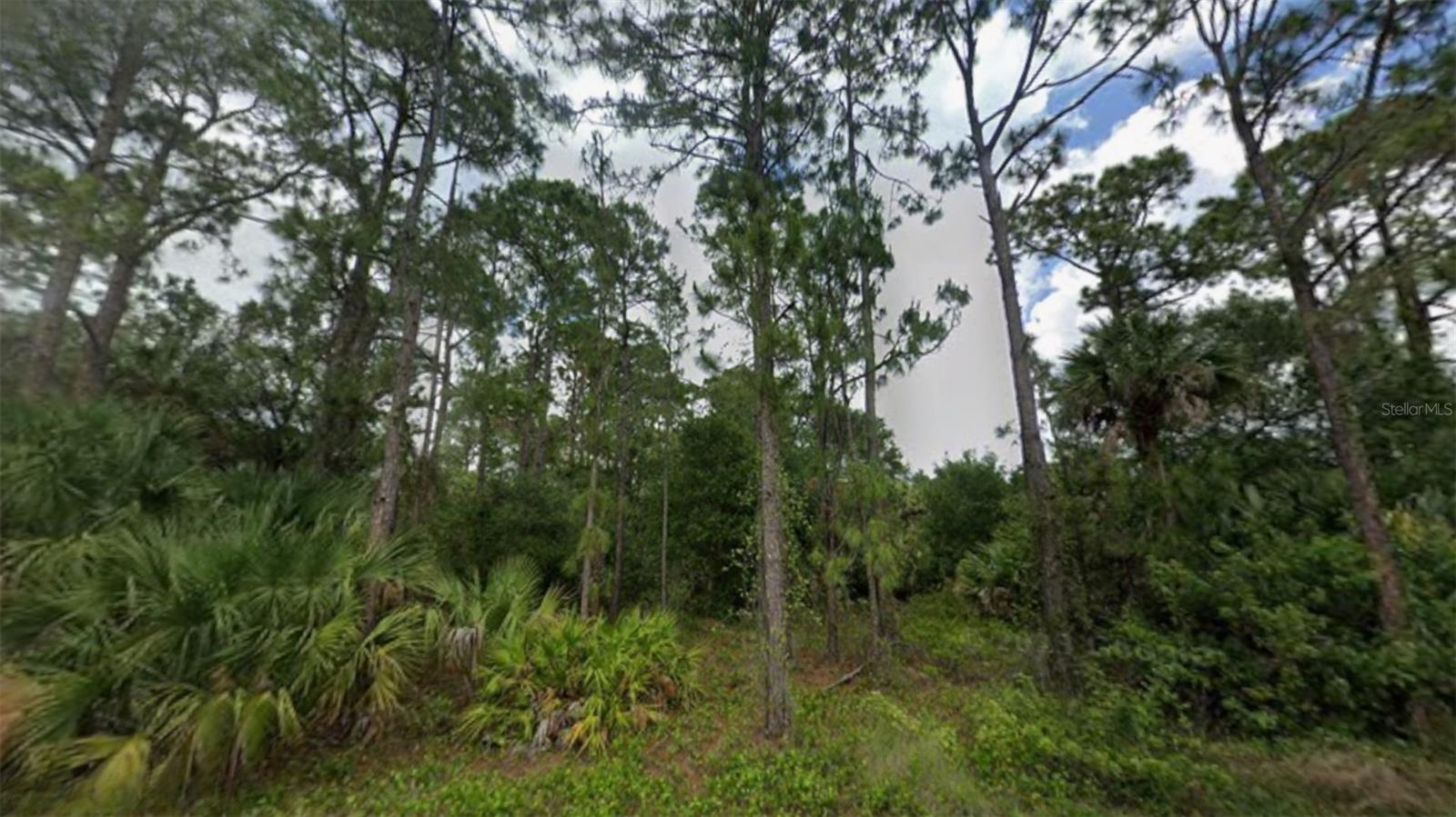 Image 22 of 25 For 20th Avenue Se