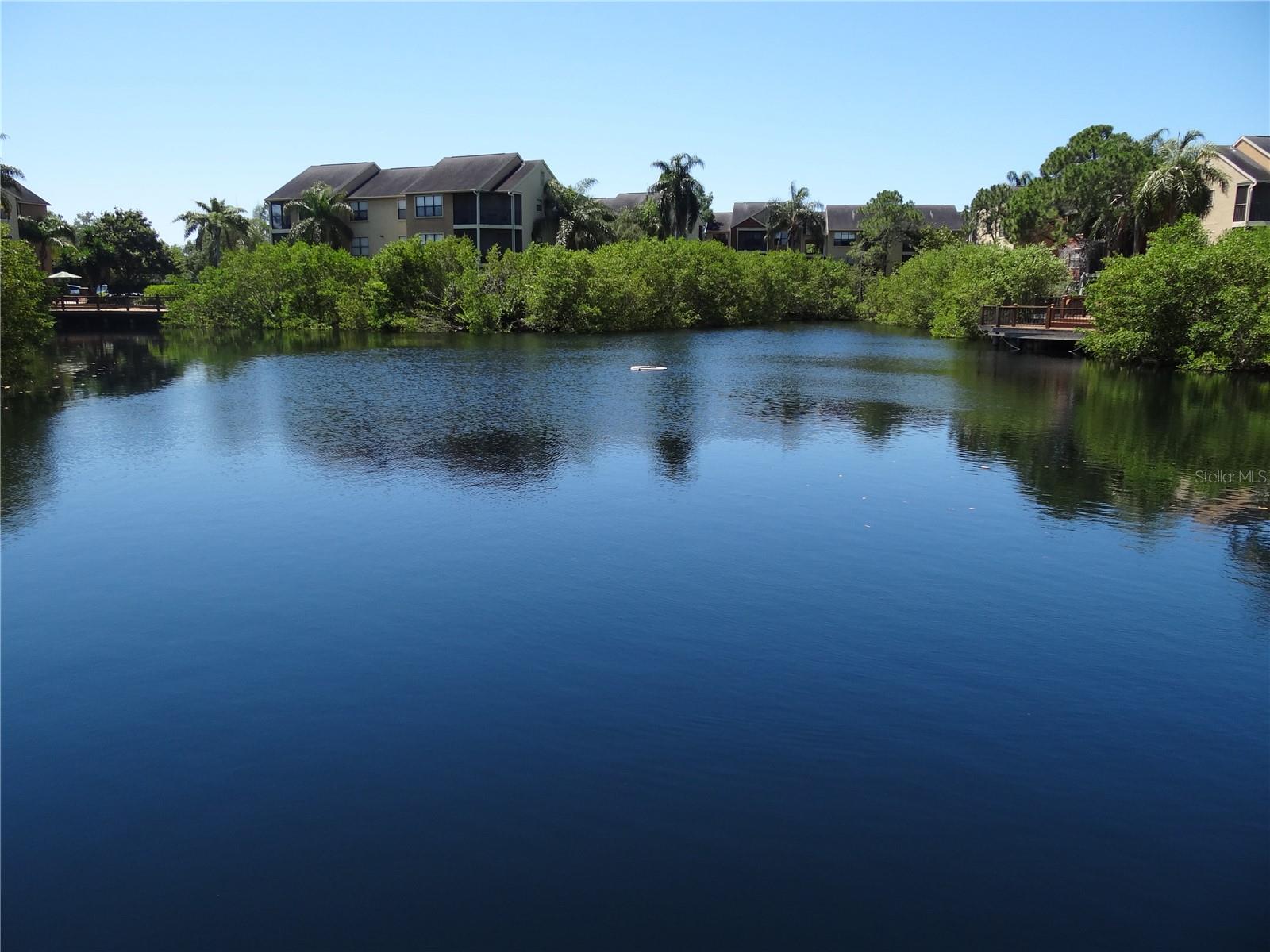 Image 19 of 21 For 11901 4th Street N 1101