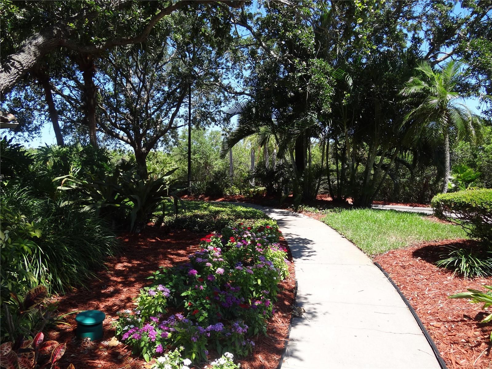 Image 3 of 21 For 11901 4th Street N 1101