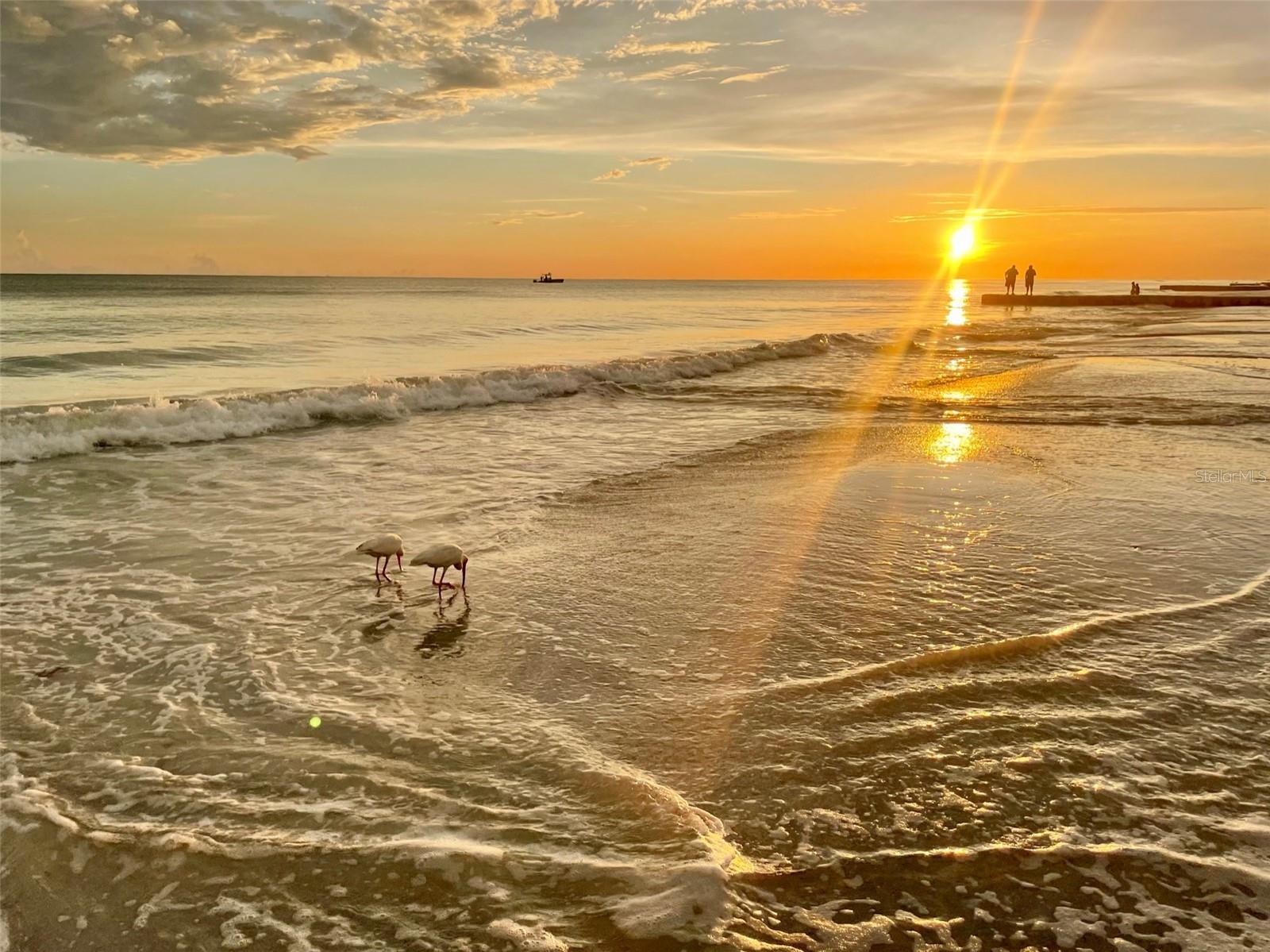 Image 83 of 93 For 874 Bay Point Drive