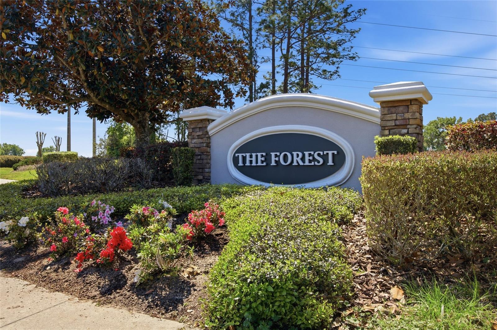 Image 43 of 43 For 4517 28th Street