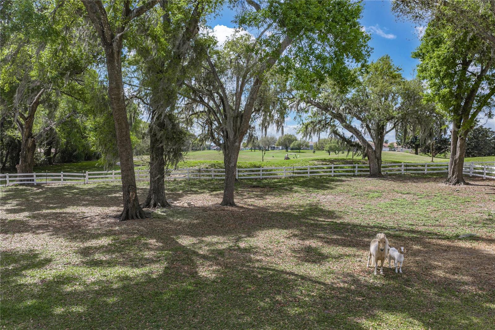 Image 91 of 97 For 34428 Mission Valley Drive