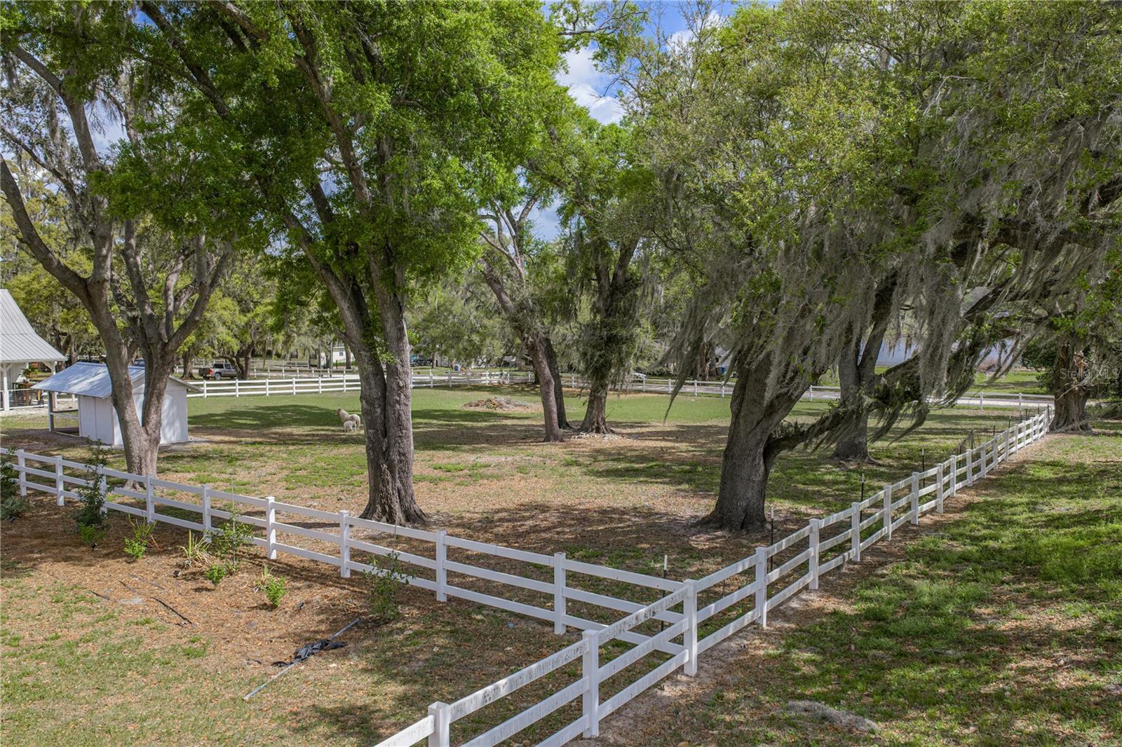 Image 94 of 97 For 34428 Mission Valley Drive