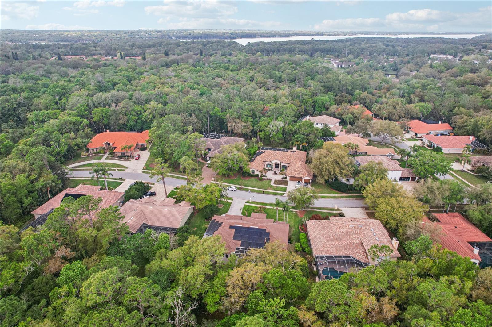 Image 86 of 89 For 4931 Turtle Creek Trail