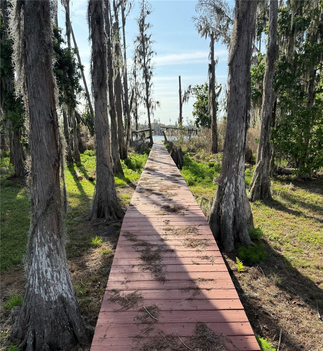 Listing photo id 2 for 17011 Alderman Turner Road