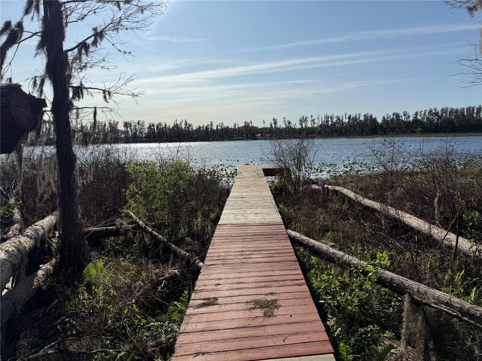 Listing photo id 3 for 17011 Alderman Turner Road