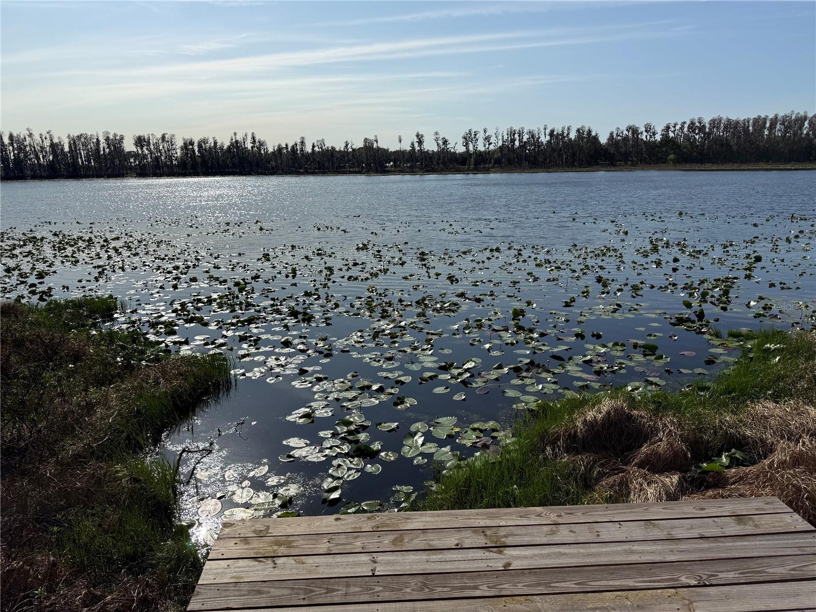 Listing photo id 4 for 17011 Alderman Turner Road